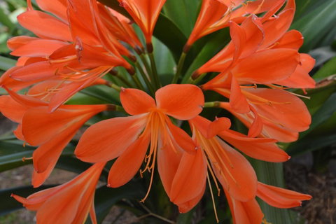 JE Guesthouse, Central To All The Hunter Valley Has To Offer - Accommodation in Bendigo 39