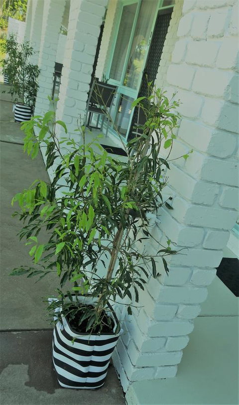 Mulwala Resort - Accommodation in Bendigo 16