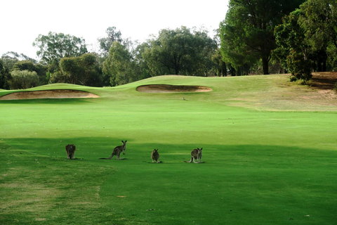 Mulwala Resort - Accommodation in Bendigo 40