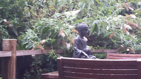 Lark Cottage - Accommodation in Bendigo 19