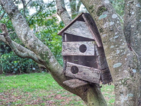 Lark Cottage - Accommodation in Bendigo 3