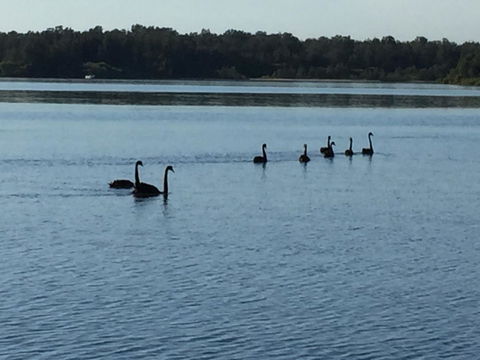 Swan Bay Hideaway - Accommodation in Bendigo 7