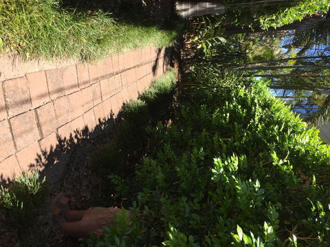 Swan Bay Hideaway - Accommodation in Bendigo 6