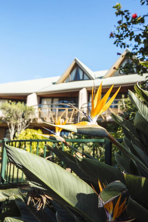 Beach Hotel Resort - Accommodation in Bendigo 36