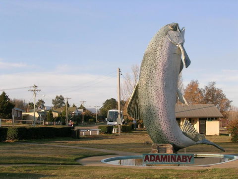 Cooma Motor Lodge Motel - Accommodation in Bendigo 19