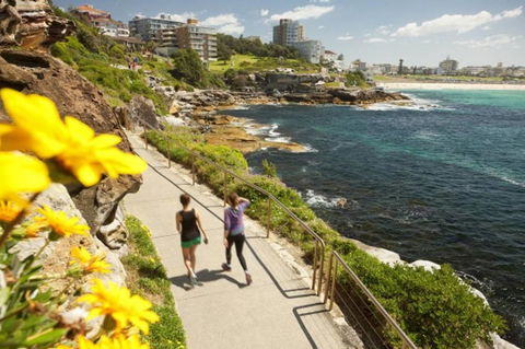 BONDI BEACH PRIME 1 Bedroom + Sunroom - Accommodation in Bendigo 16