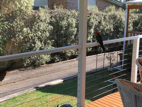 The Best Exotic Magnolia Cottage - Accommodation in Bendigo 15