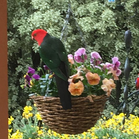 The Best Exotic Magnolia Cottage - Accommodation in Bendigo 32