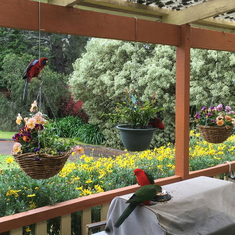 The Best Exotic Magnolia Cottage - Accommodation in Bendigo 33