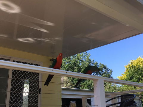 The Best Exotic Magnolia Cottage - Accommodation in Bendigo 11