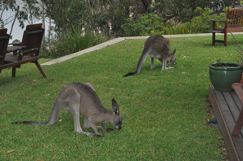By The Beach B&B Self Contained Apartments - Accommodation in Bendigo 28