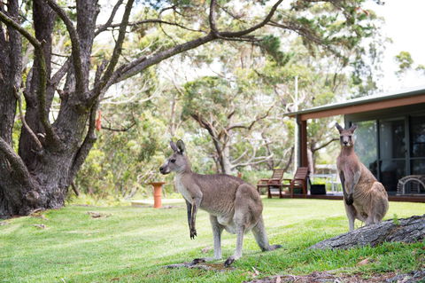 By The Beach B&B Self Contained Apartments - Accommodation in Bendigo 17