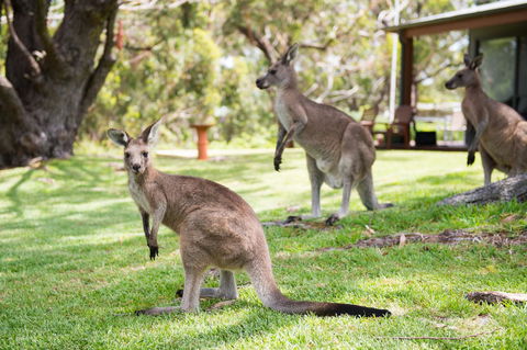 By The Beach B&B Self Contained Apartments - Accommodation in Bendigo 16
