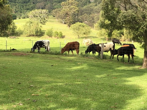 Arcadia - The Barn Cottage & Rosehill Cottage - Accommodation in Bendigo 26