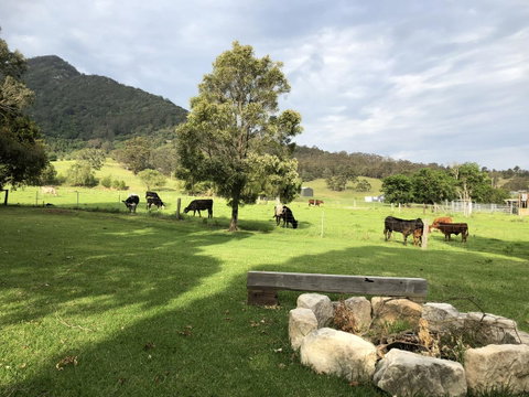 Arcadia - The Barn Cottage & Rosehill Cottage - Accommodation in Bendigo 29