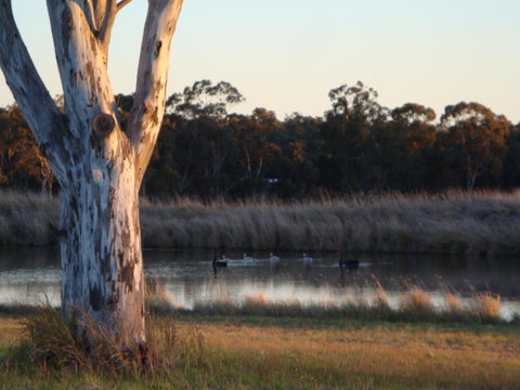 Adina Vineyard - Accommodation in Bendigo 10