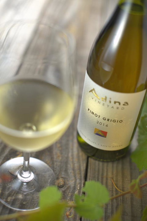Adina Vineyard - Accommodation in Bendigo 7