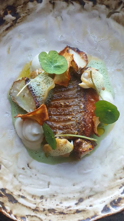 Adina Vineyard - Accommodation in Bendigo 3