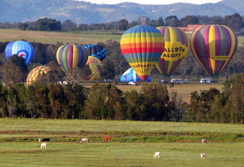 Adina Vineyard - Accommodation in Bendigo 9