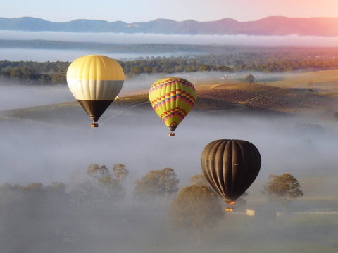 Adina Vineyard - Accommodation in Bendigo 21