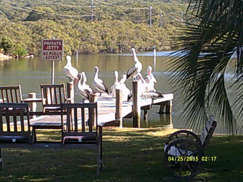 Pelican H2O One & Two Bedroom Apartments - Accommodation in Bendigo 9