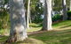The Retreat At Palm Beach - thumb 4