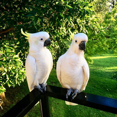 The Retreat At Palm Beach - Accommodation in Bendigo 17