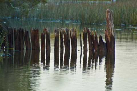 Estoy Cabarita - Accommodation in Bendigo 7