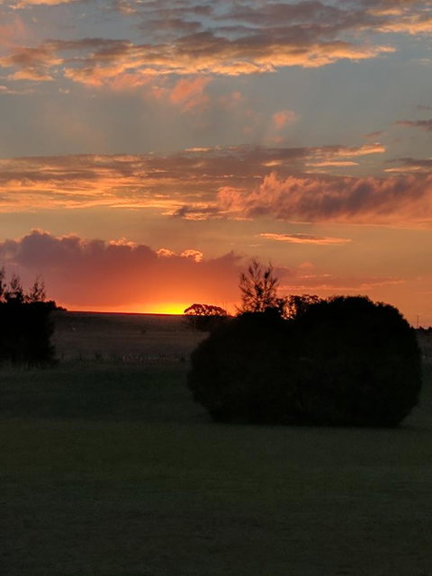 Madigan Wine Country Cottages - Accommodation in Bendigo 13
