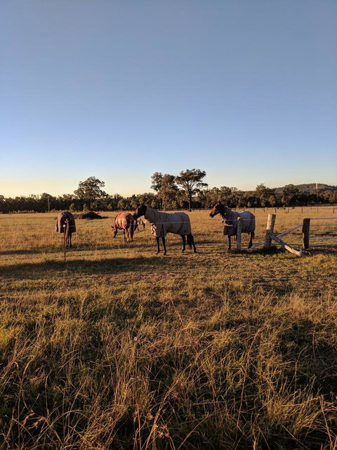 Madigan Wine Country Cottages - Accommodation in Bendigo 8