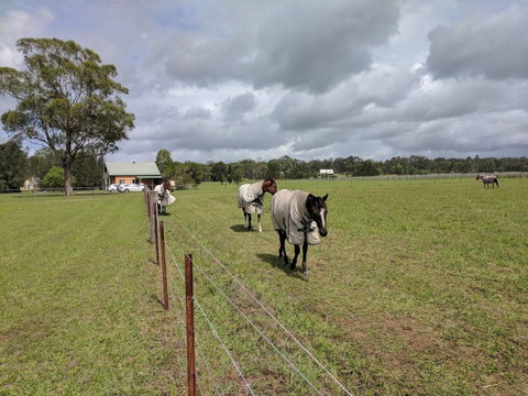Madigan Wine Country Cottages - Accommodation in Bendigo 9