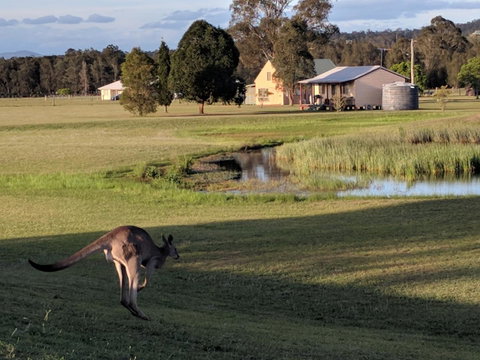 Madigan Wine Country Cottages - Accommodation in Bendigo 6