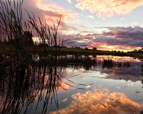 Madigan Wine Country Cottages - Accommodation in Bendigo 16