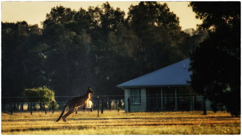 Madigan Wine Country Cottages - Accommodation in Bendigo 5
