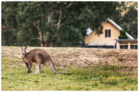 Madigan Wine Country Cottages - Accommodation in Bendigo 4