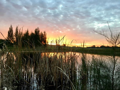 Madigan Wine Country Cottages - Accommodation in Bendigo 14