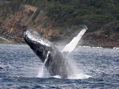 Braemar 9 - Accommodation in Bendigo 8