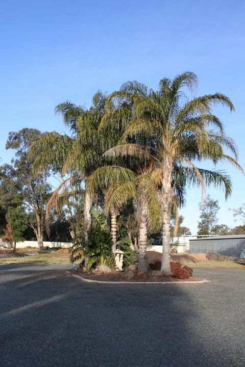 Temora Motel - Accommodation in Bendigo 6