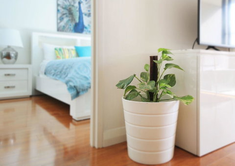 Sydney Apartment Close To Airport & CBD - Accommodation in Bendigo 7