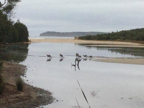 Rocketz At Berrara Beach - Accommodation in Bendigo 3