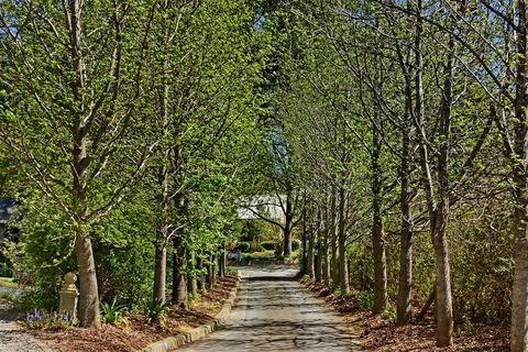Bundanoon Lodge - Accommodation in Bendigo 12
