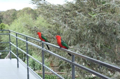 Bundanoon Lodge - Accommodation in Bendigo 7