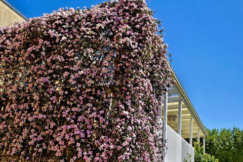 Bundanoon Lodge - Accommodation in Bendigo 13