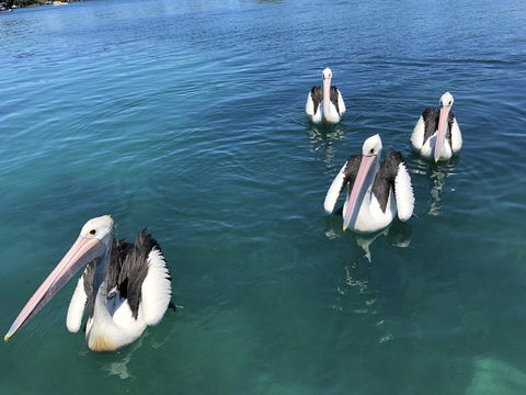 Aquarius 9 - Accommodation in Bendigo 4