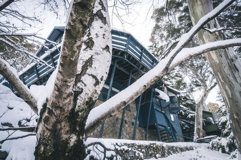 Pure Chalet Thredbo - Accommodation in Bendigo 21