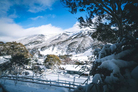 Pure Chalet Thredbo - Accommodation in Bendigo 31