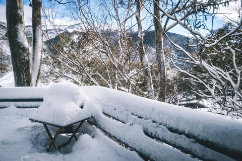 Pure Chalet Thredbo - Accommodation in Bendigo 19