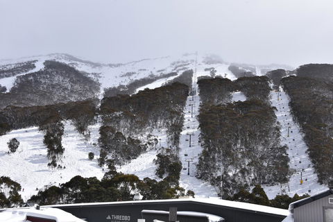 Pure Chalet Thredbo - Accommodation in Bendigo 6