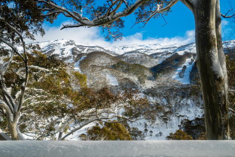 Pure Chalet Thredbo - Accommodation in Bendigo 17