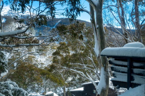 Pure Chalet Thredbo - Accommodation in Bendigo 30